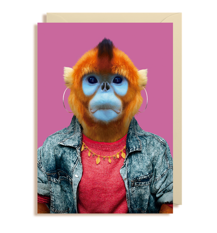 Zoo Portraits - Golden Monkey Card