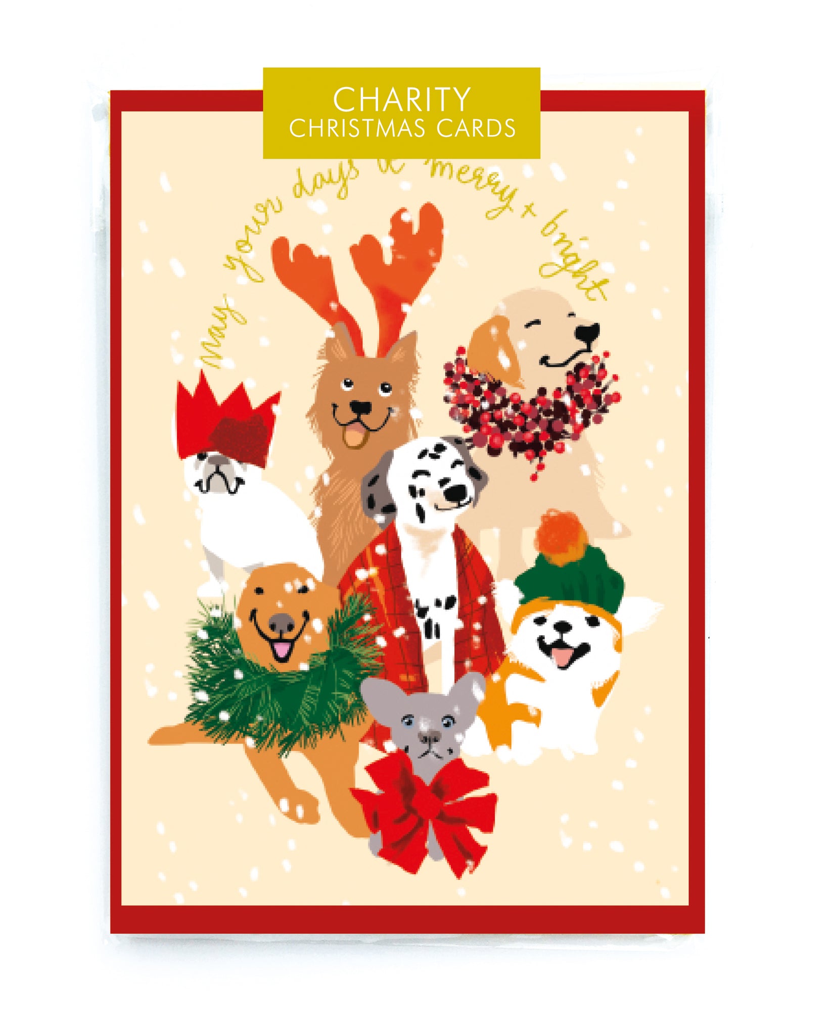 Festive Pups Charity Christmas Card Pack